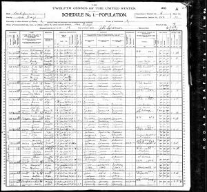 Luper, James Martin Bernheisel, 1900, Census, USA, San Diego Ward 9, San Diego, California