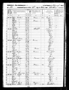 Luper, James Martin Bernheisel, 1850, Census, USA, McDonough, Illinois, USA