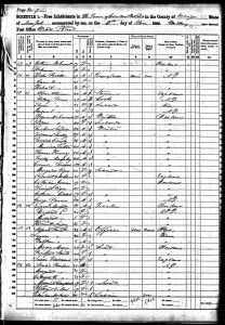 Bratt, John, 1860, Census, USA, Cornwall, Orange, New York