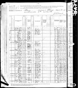 Bratt, Sara, 1880, Census, USA, Albany, Albany, New York, USA