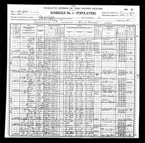 Balthasar, Regina, 1900, Census, USA, Buffalo Ward 12, Erie, New York