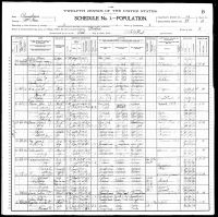 Ray, James, 1900, Census, USA, Bradford, McKean, Pennsylvania