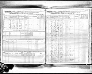 Bratt, Henry David, 1865, Census, New York, New Scotland, Albany, New York