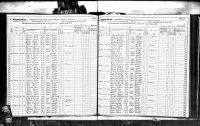 Bratt, David, 1875, Census, New York, Hannibal, Oswego, New York