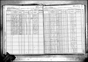 Bratt, Gerrit Teunis, 1925, Census, New York, Albany, Albany, New York, USA