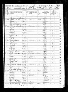 Warren, Willis, 1850, Census, USA, Lee, Fulton, Illinois, USA