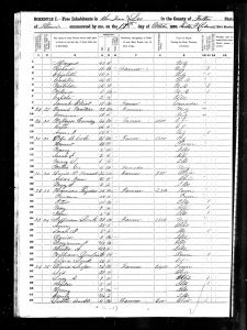 Luper, David, 1850, Census, USA, Lee Township, Fulton, Illinois