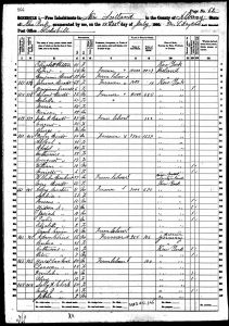 Bratt, Henry David, 1860, Census, USA, New Scotland, Albany, New York