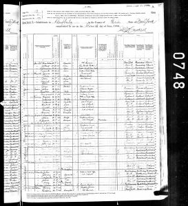 Speidel, Max Joseph, 1880, Census, USA, Black Rock, Erie, New York, USA