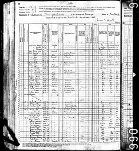 Bratt, John, 1880, Census, USA, Highland, Orange, New York