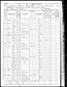 Norris, Francis Marion, 1870, Census, USA, Vance, Vermilion, Illinois