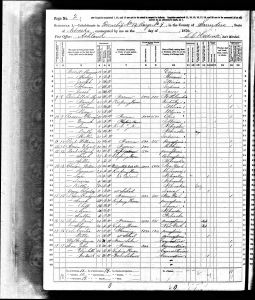 Luper, David D, 1870, Census, USA, Township 12, Saunders, Nebraska