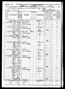 Judge, Patrick, 1870, Census, USA, 8th Ward, Albany, Albany, New York