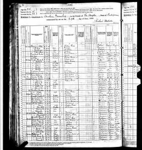 Smith, William Jasper, 1880, Census, USA, Anaheim Township, Los Angeles Co (now Orange Co), California