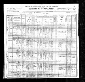 Macy, Sarah A, 1900, Census, USA, Albany, Albany, New York, USA